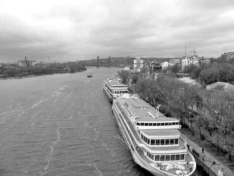 фото: Дон